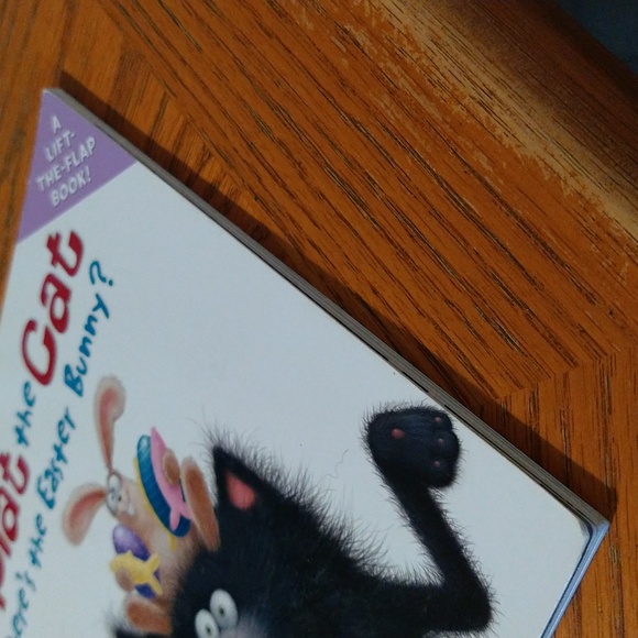 ✨5/$15✨ Children's Book - Splat the Cat Where's the Easter Bunny? Flap Book - Picture 15 of 15